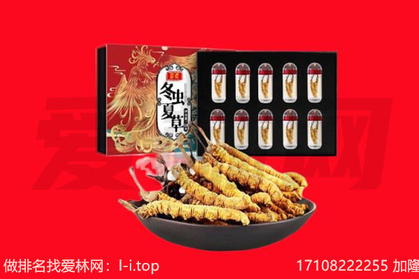 邱县回收虫草.jpg